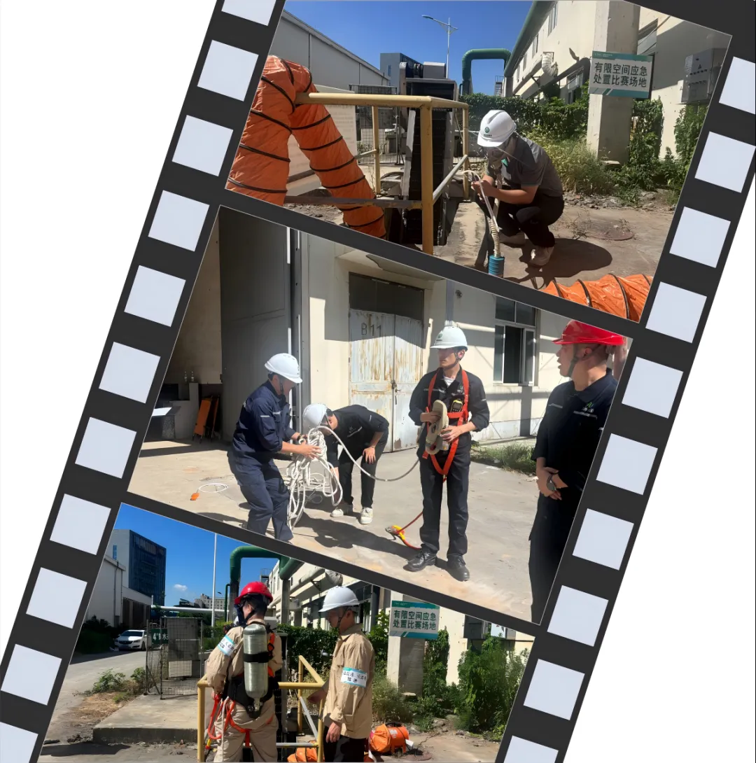 1755478618696778OnuZ.jpg 1755478584556.jpg